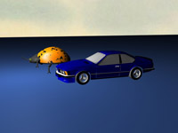 Car and Ladybird